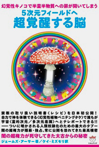 5次元フィールドへ 超覚醒する脳 カバー 5次元フィールドへ 超覚醒する脳 カバー